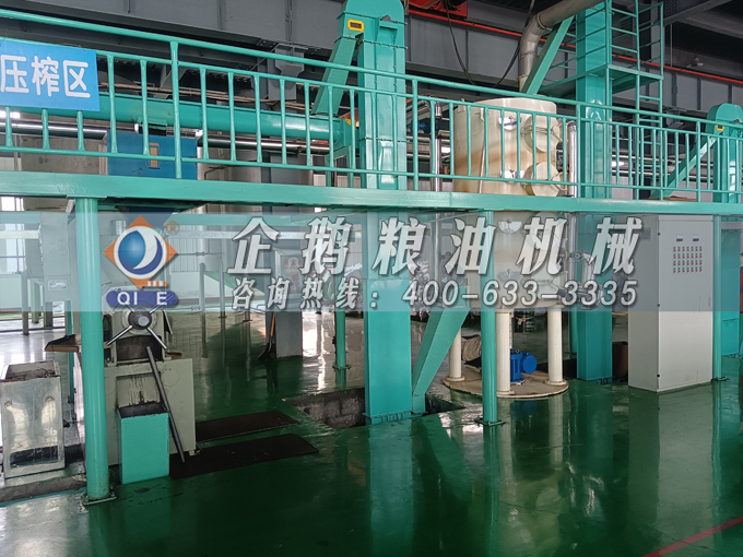 企鵝牌茶籽油雙螺桿榨油機，用心制造獲得客戶認可(圖2)