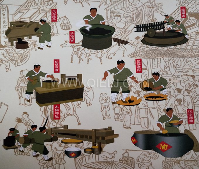 芝麻油提取加工，企鵝糧油機(jī)械生產(chǎn)色香味俱佳的油脂(圖2)